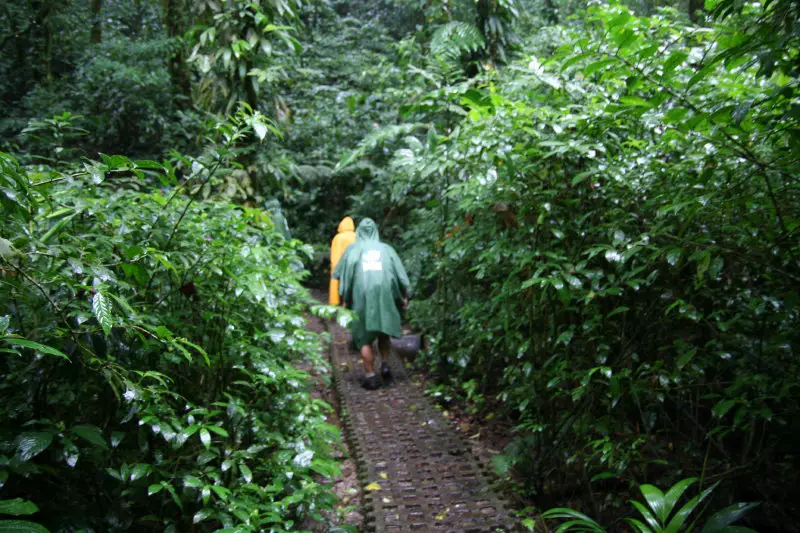 monteverde cloud forest