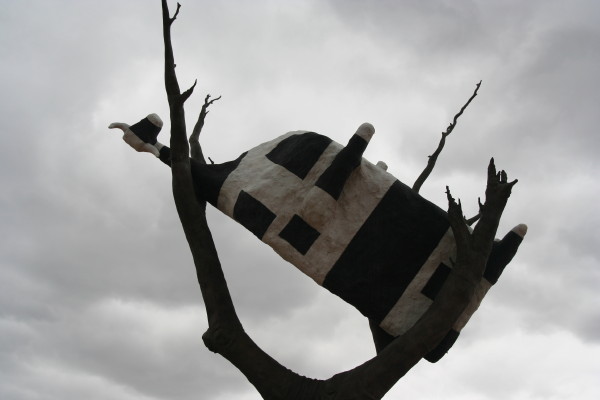 Cow up in a Tree!