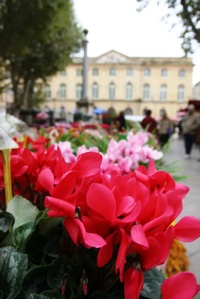 Flower Market