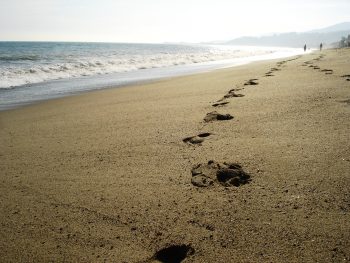 Malibu Beach