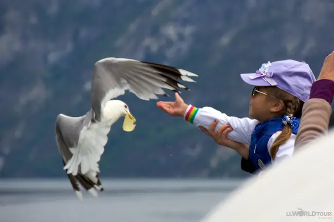 Don't Feed the Birds! Don't Feed the Birds!