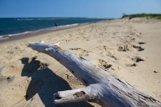 Cape Cod National Seashore