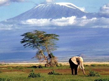 Tanzania_Safari
