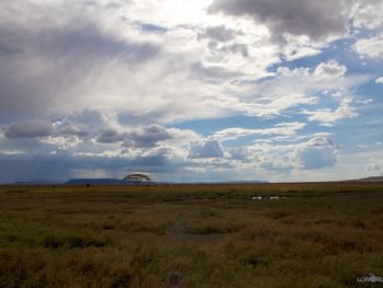 The Serengeti Plains