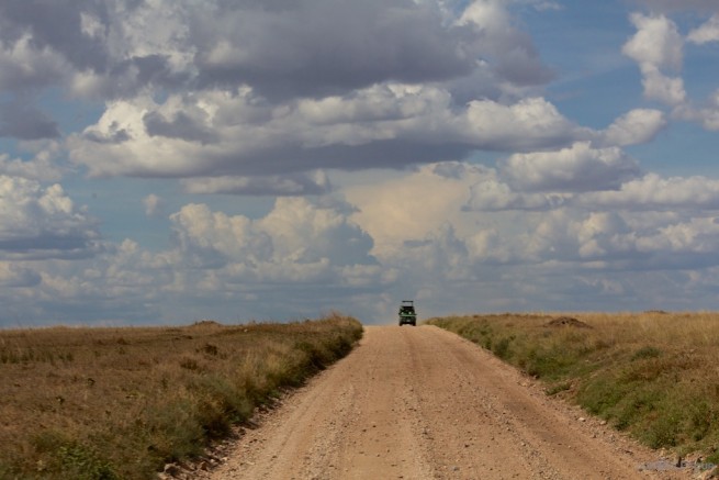 Into the Serengeti