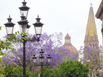 Guadalajara Downtown