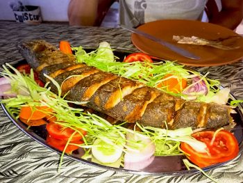 Grilled fish in Goa