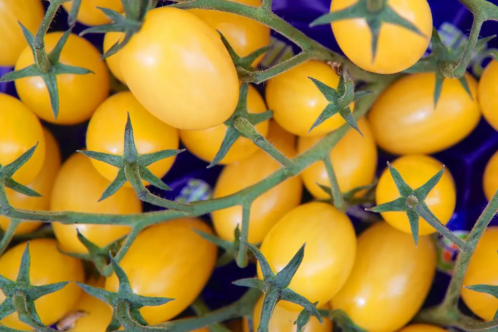 Market Tomatoes