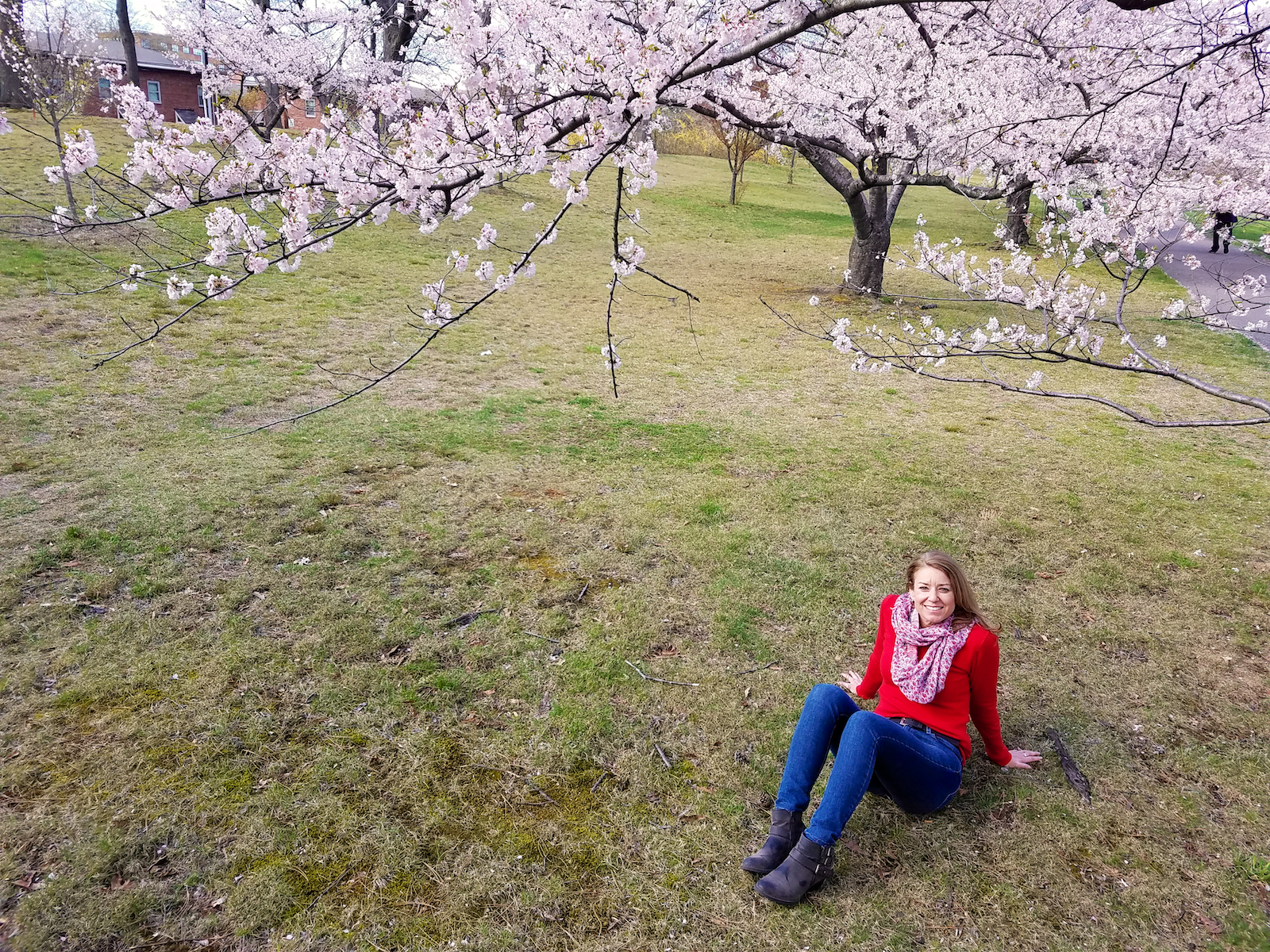 Branch Brook Park Cherry Blossoms