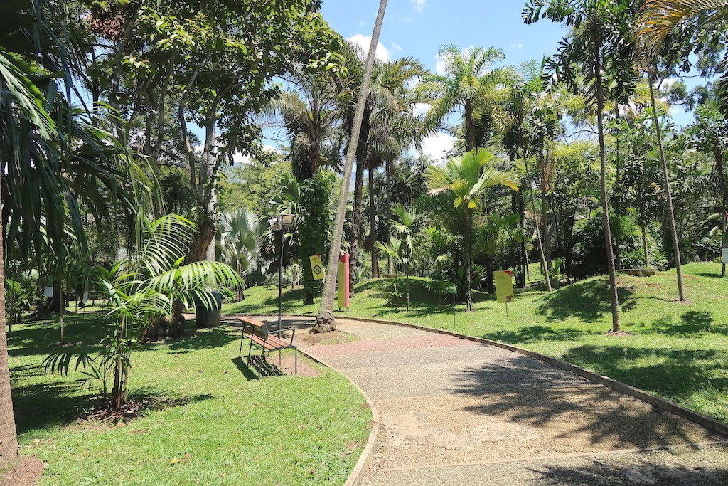 Botanic Garden Medellin