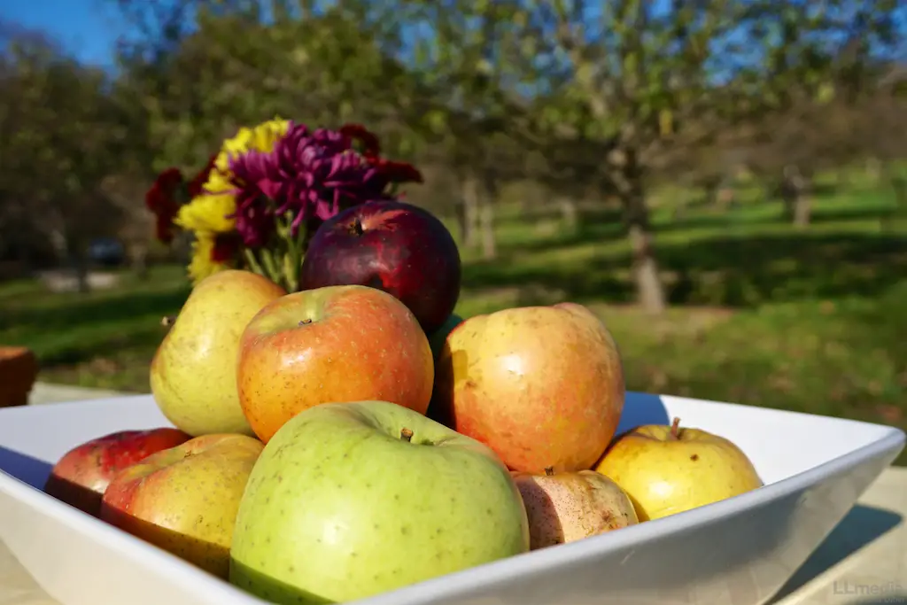 Thing to do in hocking hills orchards