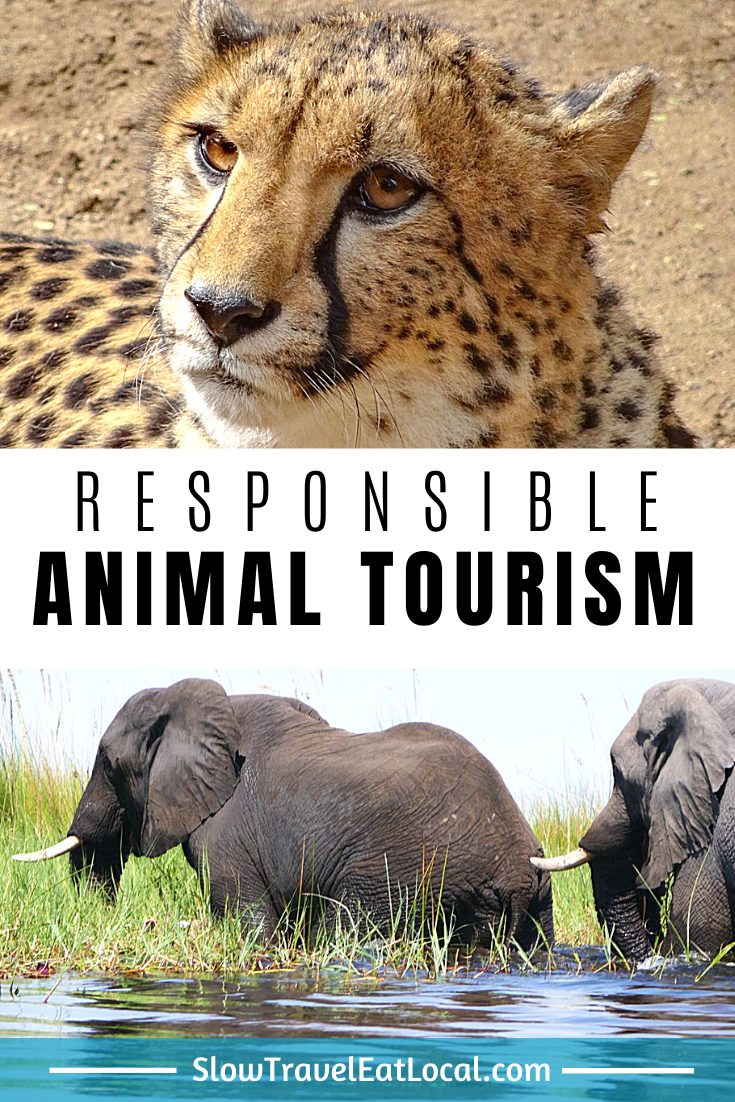 Responsible Animal Tourism