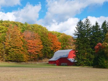 Best road trips from Chicago