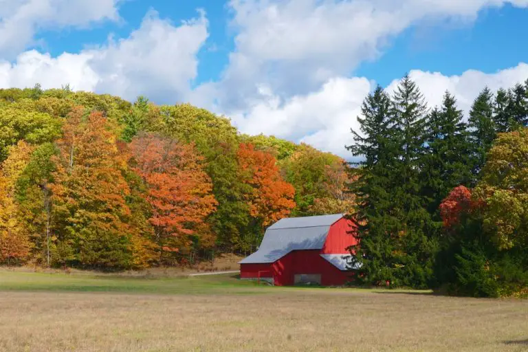 best-road-trips-from-chicago-ll-world-tour