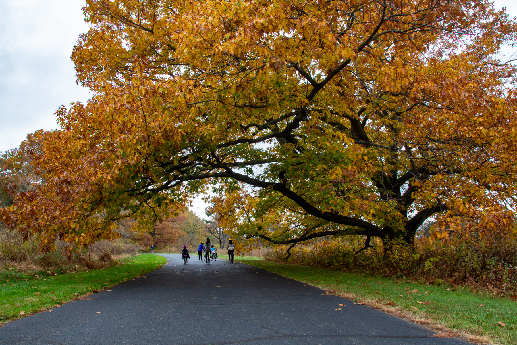 Duke Farms bike trails