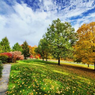 Autumn in New Jersey

I've spent the last five months in New Jersey...enjoying the quiet, the wildlife that visits our backyard, and these gorgeous trees! 🌳🍂
#grateful