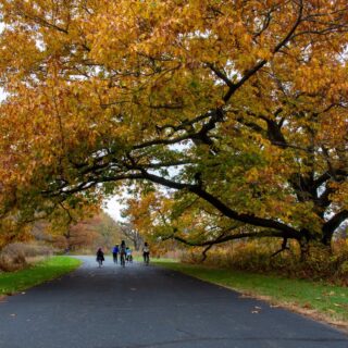 I moved back to New Jersey one year ago this summer. 
While I do miss cycling more during every day life in Chicago (for fun or just to go to grocery store!), I've been enjoying discovering Central New Jersey's many beautiful trails including the D&R Trail, the Columbia Trail, Henry Hudson Trail and riding around Duke Farms (first photo)! 
There are a lot of beautiful areas to discover especially in Central and Western NJ in and around Hunterdon County. Scroll through pics and see that New Jersey is more beautiful and charming than many realize. 
Then click on link in my bio to read the blog post in NJ Bike trails and get on your bike! 🚲